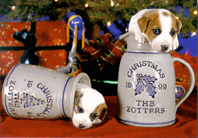 Personalized Christmas gifts