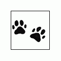 Paw Prints